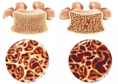 1544748838295615.jpg timg.jpg