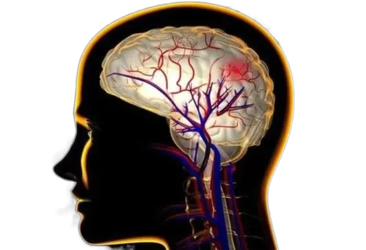 1639554970272559.png 1639554970272559.png